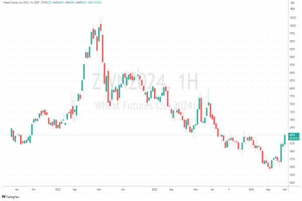 Биржевые цены на пшеницу выросли до максимума с августа 2023 года